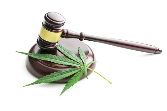 One Helluva Year: State Hemp Laws in 2023